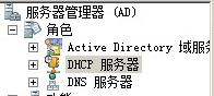 dhcp6.png