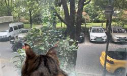 Featured image of post 比屁股还要懒